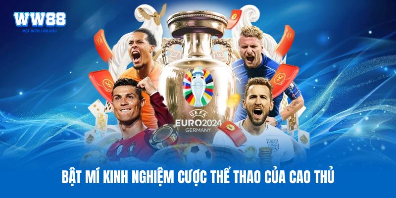 Đôi nét sơ lược về sảnh cá cược thể thao WW88