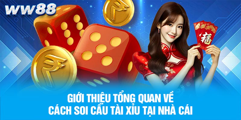 Giới thiệu tổng quan về cách soi cầu tài xỉu tại nhà cái