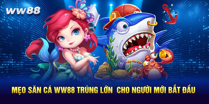 Mẹo săn cá WW88 trúng lớn cho người mới bắt đầu