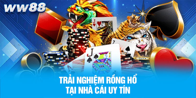 Trải nghiệm Rồng Hổ tại nhà cái uy tín