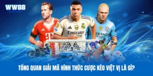 Kèo việt vị là gì? Bí quyết bắt kèo phụ dễ ăn tiền nhất 2026