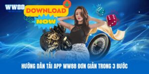 Hướng Dẫn Cách Tải App WW88 Nhanh Chóng Cho IOS/Android