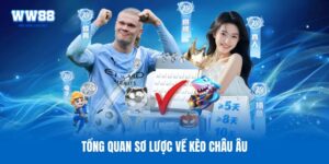 Tổng quan sơ lược về kèo châu Âu