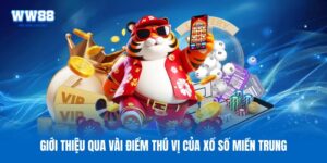Xổ Số Miền Trung - Xem Kết Quả Các Đài Chỉ Trong Vài Giây